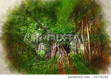 Watercolor painting of scenic view of jungle with Indian banyan Watercolor painting of scenic view of jungle with Indian banyan 50776288