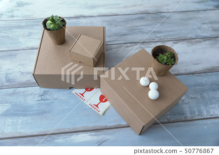 Three carton boxes and two pots with green plants 50776867
