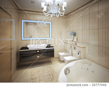 Elegant Classic Bathroom 50777448