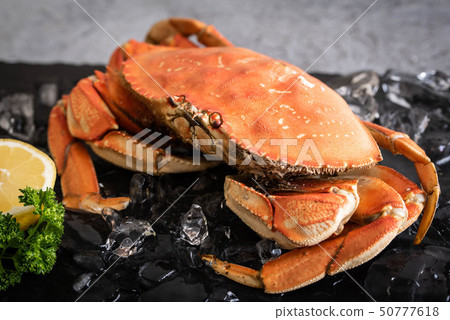 boiled dungeness crab image 50777618