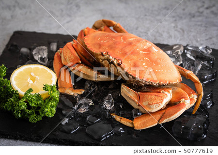 boiled dungeness crab image 50777619