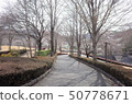 群馬縣卡倫公園，在秋天公園的步行道 50778671