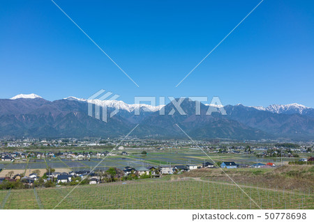 安曇野春天：北阿爾卑斯山和城市風光北安崎郡池田町 50778698