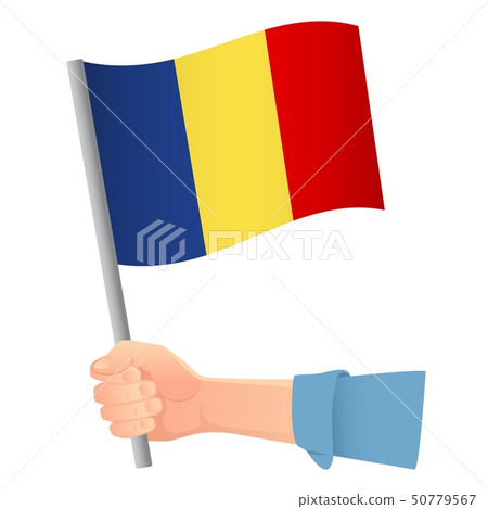 Chad flag in hand 50779567