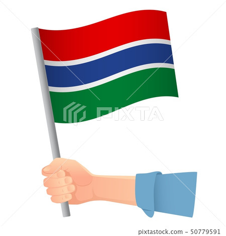Gambia flag in hand Gambia flag in hand 50779591