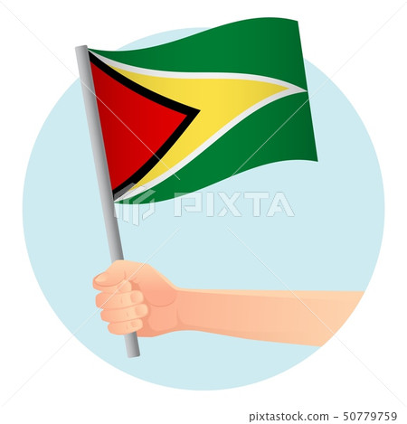 Guyana flag in hand 50779759