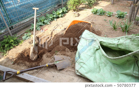 Extraction operation Extraction operation 50780377