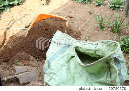 Extraction operation 50780378