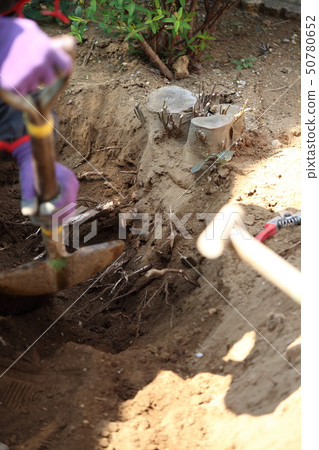 提取操作 50780652