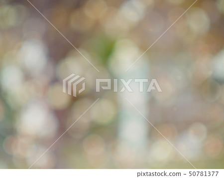 Abstract forest bokeh background, stray focus 50781377