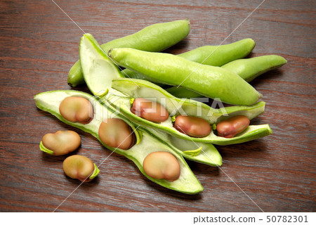 粉紅色的蠶豆 50782301