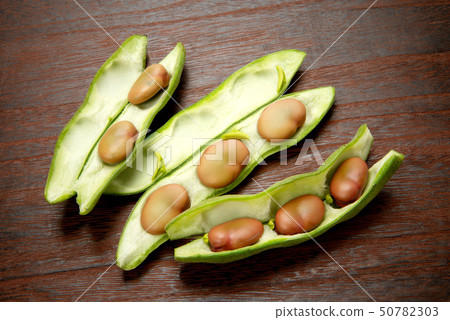 粉紅色的蠶豆 50782303