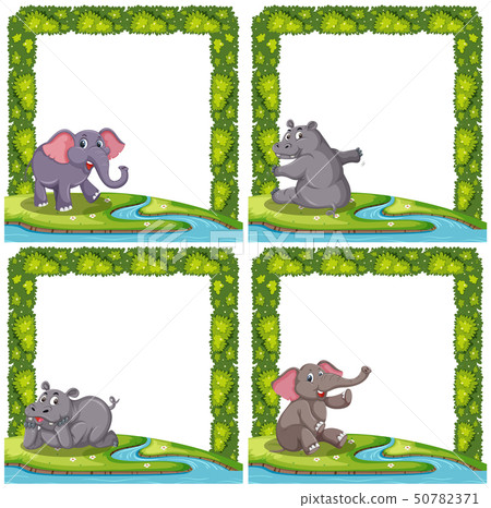 Set of animal on frame Set of animal on frame 50782371
