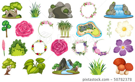 Set of ornamental plants Set of ornamental plants 50782378