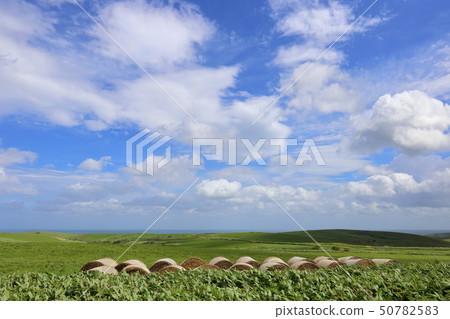 Hokkaido Wakkanai Soya Hills Hokkaido Wakkanai Soya Hills 50782583