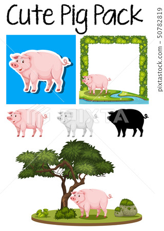 A pack of pig 50782819