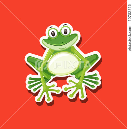 A frog character animal A frog character animal 50782826
