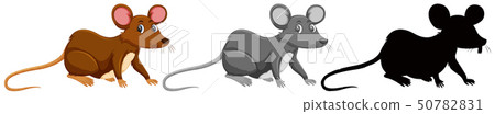 Set of rat animal 50782831