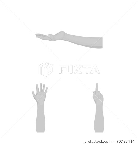 Isolated object of animated and thumb logo. Collection of animated and gesture vector icon for stock Isolated object of animated and thumb logo. Collection of animated and gesture vector icon for stock 50783414