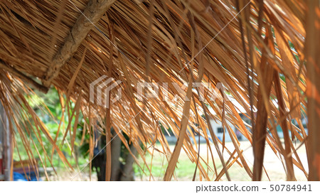 Nipa palm leaves roof closed up from side view Nipa palm leaves roof closed up from side view 50784941