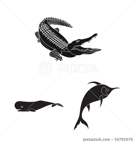 Vector illustration of water and drop symbol. Set of water and splash stock symbol for web. 50785079