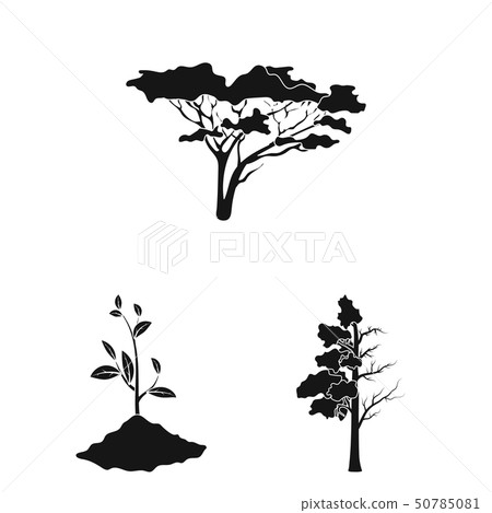 Isolated object of tree  and forest logo. Set of tree  and green vector icon for stock. Isolated object of tree  and forest logo. Set of tree  and green vector icon for stock. 50785081