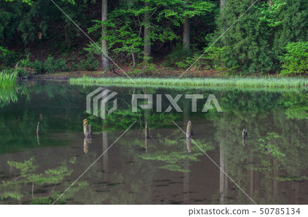 滋賀縣滋賀縣高島市5月的Hiraike 滋賀縣滋賀縣高島市5月的Hiraike 50785134