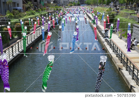 天空樹和鯉魚飄帶 50785390