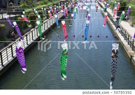 天空樹和鯉魚飄帶 天空樹和鯉魚飄帶 50785392