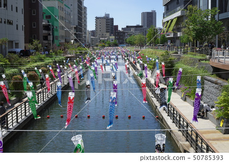 天空樹和鯉魚飄帶 50785393