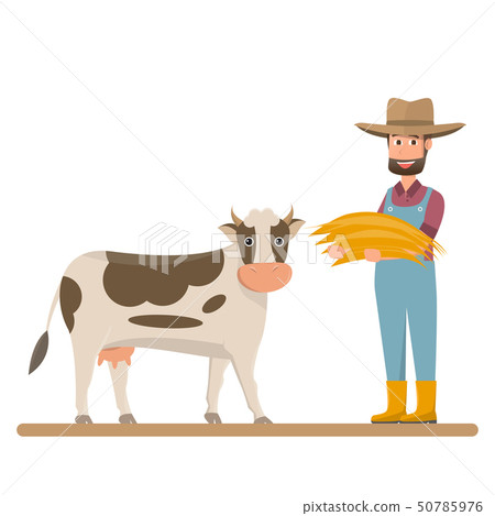 dairy farm, farmer give straw for milk cow 50785976