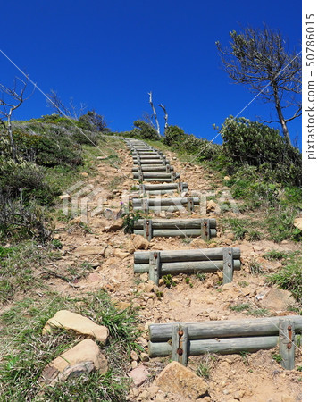 蒼井島（長崎：贊岐） 50786015