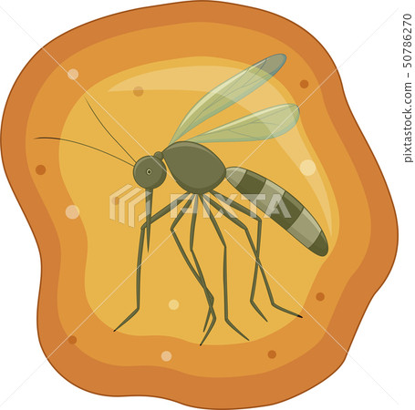 Illustration of Mosquito in yellow amber fossil 50786270