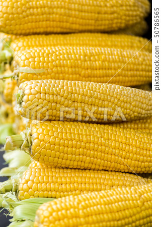 堆積的生玉米 堆積的生玉米 50786565