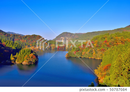 Autumn scenery with beautiful scenery 50787084