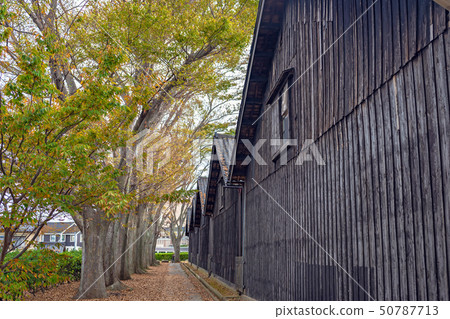 Yamai倉庫秋天風景 50787713