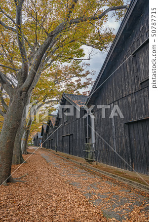Yamai倉庫秋天風景 50787715