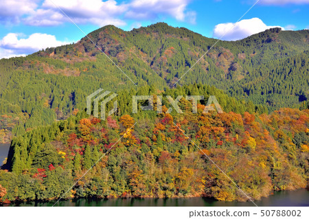 Autumn scenery with beautiful scenery 50788002