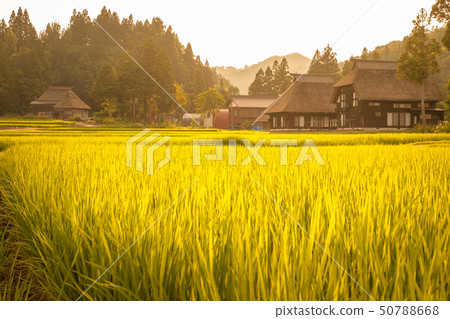 夏季鄉村景觀(在蘆之島環村的黃昏) 夏季鄉村景觀(在蘆之島環村的黃昏) 50788668