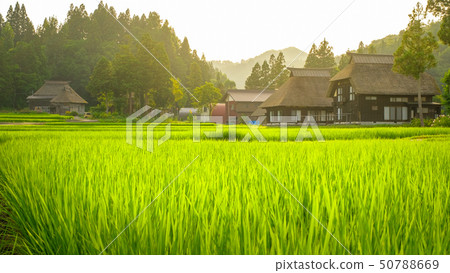夏季鄉村景觀(在蘆之島環村的黃昏) 夏季鄉村景觀(在蘆之島環村的黃昏) 50788669