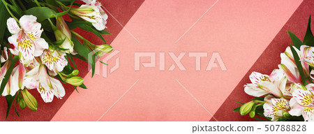 Modern flat lay background with papers and flowers Modern flat lay background with papers and flowers 50788828