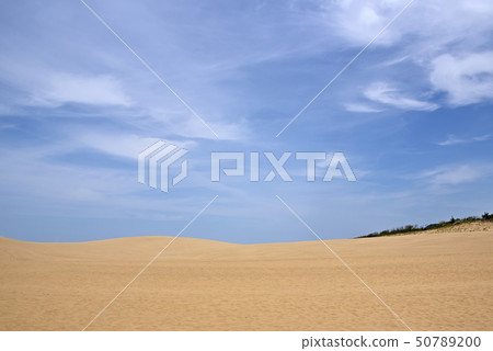 Tottori sand dunes 50789200