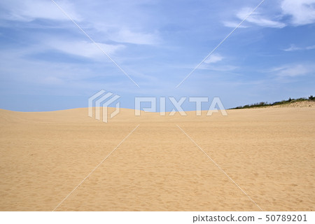Tottori sand dunes 50789201