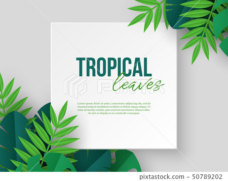 Banner with exotic jungle tropical palm leaves.