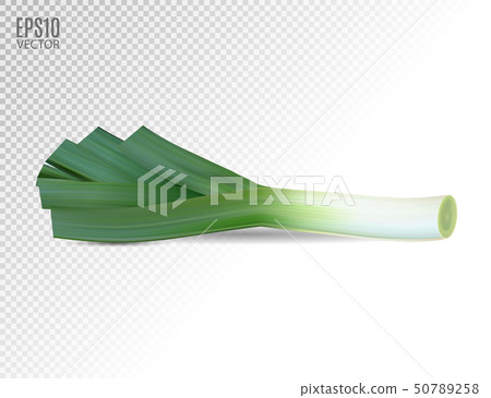 Fresh leek on a white background. Photo realistic vector, 3d 50789258
