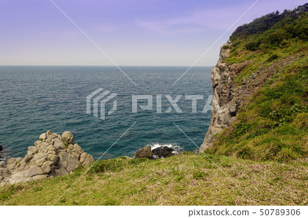 Image of 50789306