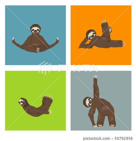 Sloth yoga collection. Funny cartoon animals in 50792956