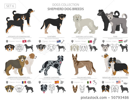 what dog breeds are sold in romania