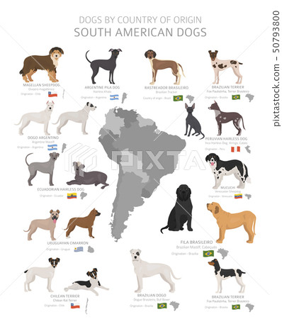 can a dogue brasileiro live in el salvador