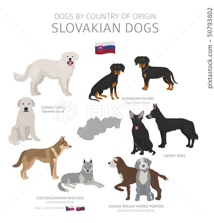 Dogs by country of origin. Slovakian dog breeds. Dogs by country of origin. Slovakian dog breeds. 50793802